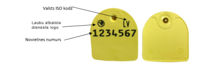 CAISLEY lielās krotālijas ar novietnes numuru