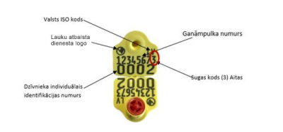 CAISLEY aitu/kazu krotālijas, jaunā parauga apraksts