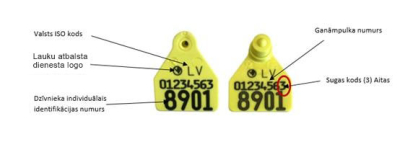 ALLFLEX krotālijas, apraksts