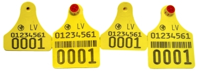 Dzeltenas krāsas plastikāta krotālija