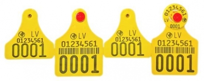 Caisley elektroniskās krotālijas liellopiem