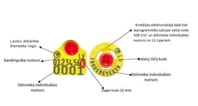 Caisley sīklopu elektroniskā krotālija, apraksts