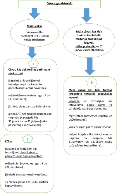 Piemērs par cūkām