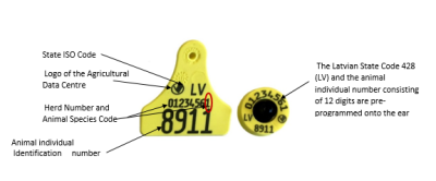 ALLFLEX electronic bovine ear tags, description: