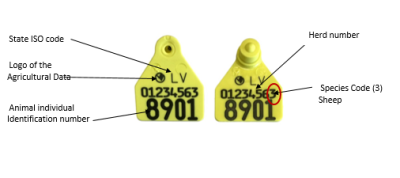 Ear tag with description