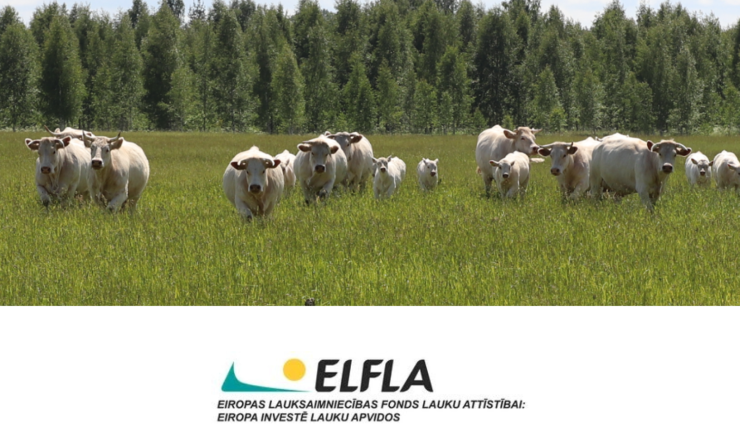 ELFLA 2007-2013 projekti